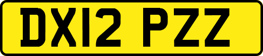DX12PZZ