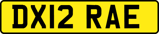 DX12RAE