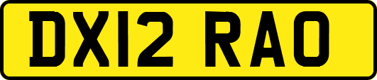 DX12RAO