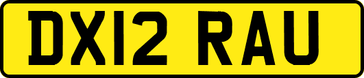 DX12RAU