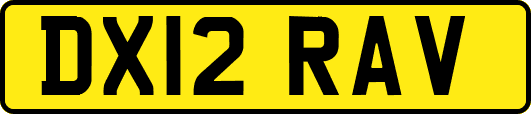 DX12RAV
