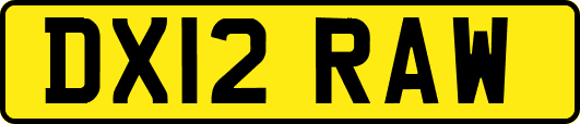 DX12RAW