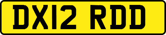 DX12RDD