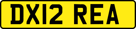 DX12REA