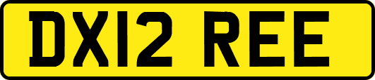 DX12REE