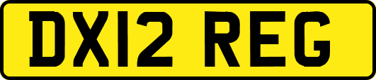 DX12REG
