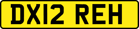 DX12REH