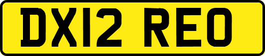 DX12REO