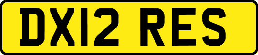 DX12RES