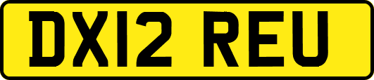 DX12REU