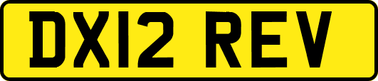 DX12REV