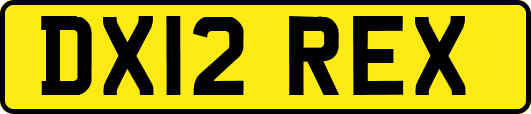 DX12REX