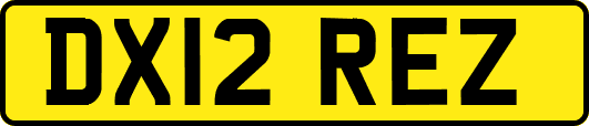 DX12REZ