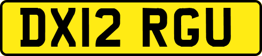 DX12RGU