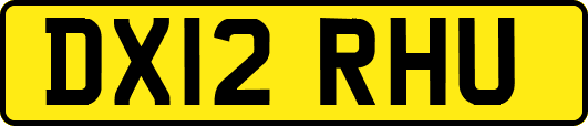 DX12RHU