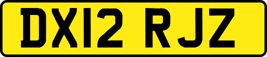 DX12RJZ