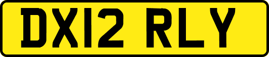 DX12RLY