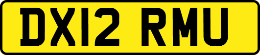 DX12RMU