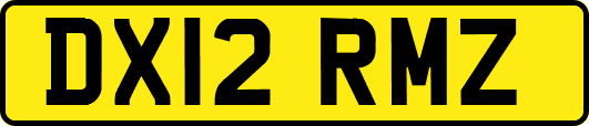 DX12RMZ