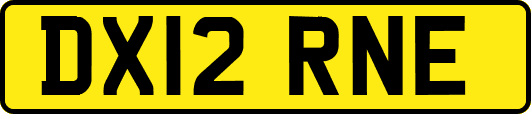 DX12RNE