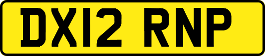 DX12RNP