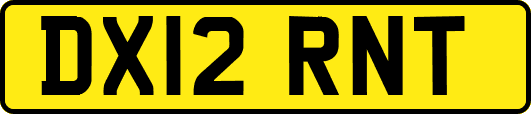 DX12RNT