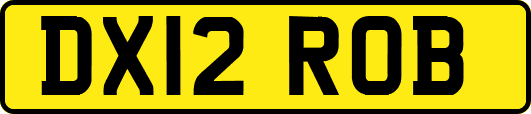 DX12ROB
