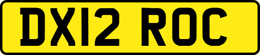 DX12ROC