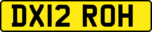 DX12ROH