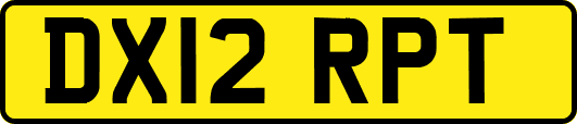 DX12RPT