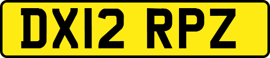 DX12RPZ