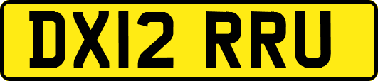 DX12RRU