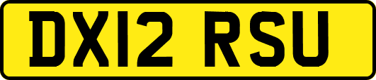 DX12RSU