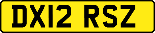 DX12RSZ
