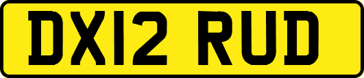 DX12RUD