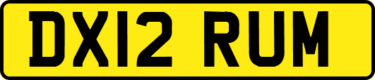 DX12RUM
