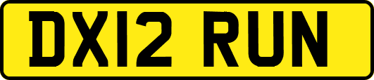 DX12RUN