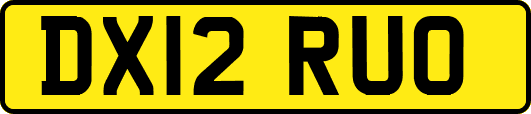 DX12RUO