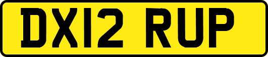 DX12RUP