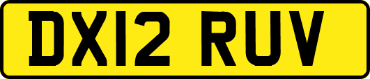 DX12RUV