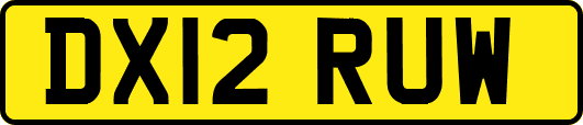 DX12RUW