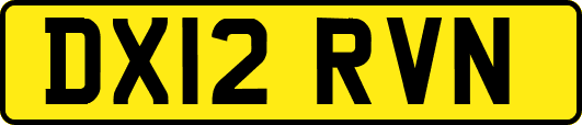 DX12RVN