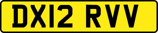 DX12RVV