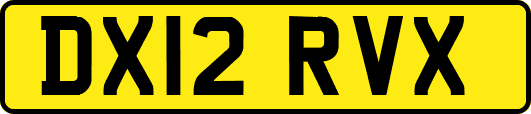 DX12RVX