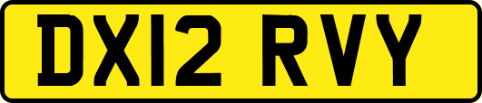 DX12RVY