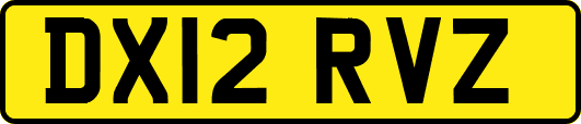 DX12RVZ