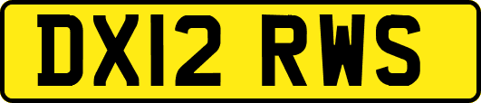 DX12RWS