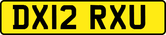 DX12RXU