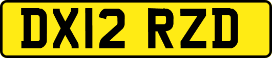 DX12RZD