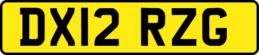 DX12RZG